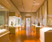 A gallery with artifacts in glass cases.