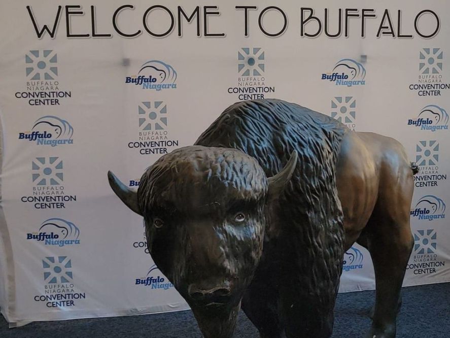 A large bronze sculpture of a bison.